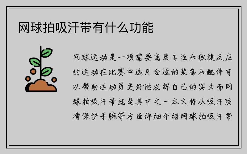 网球拍吸汗带有什么功能